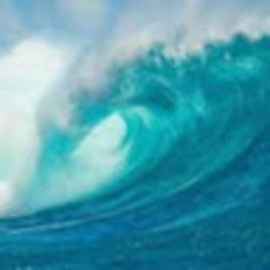 Meet your Posher, Kaitlyn